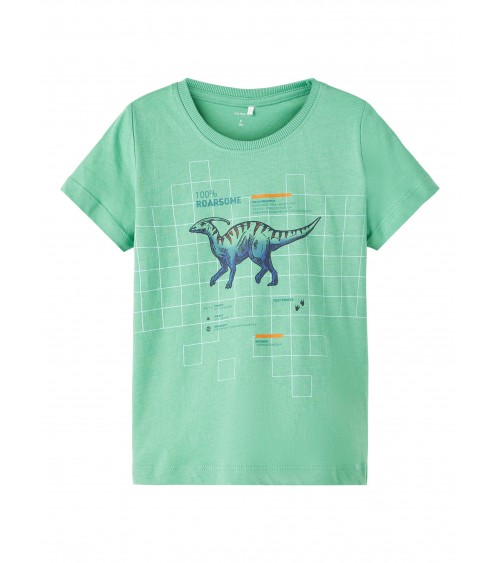 t shirt δεινοσαυρος