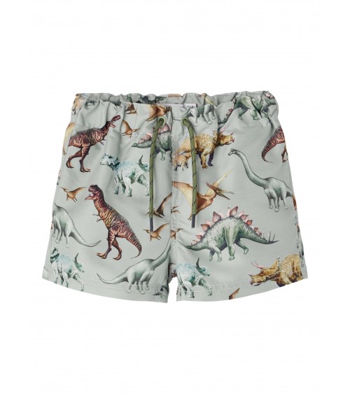 swim shorts dinosaur