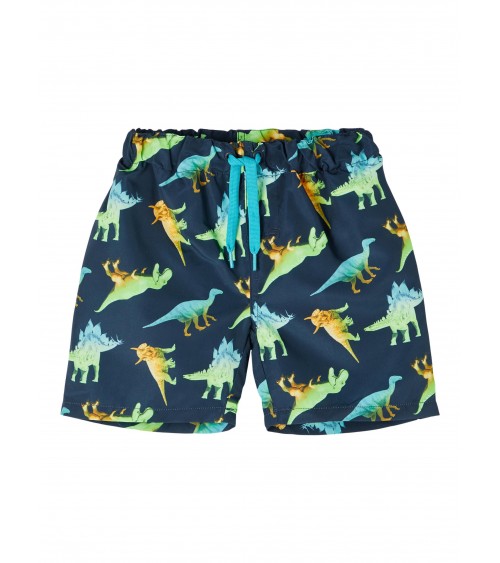 swim shorts dinosaur